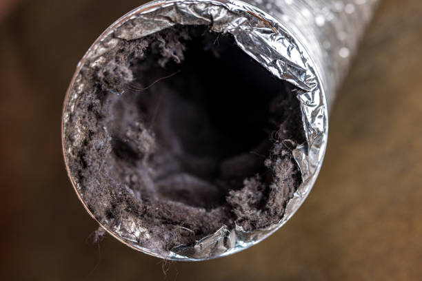 Best Professional Duct Cleaning Services  in Streator, IL